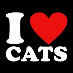 Cárcel por intentar salvar la vida de una gata